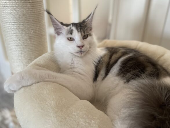 Er sieht seinem Papa immer ähnlicher