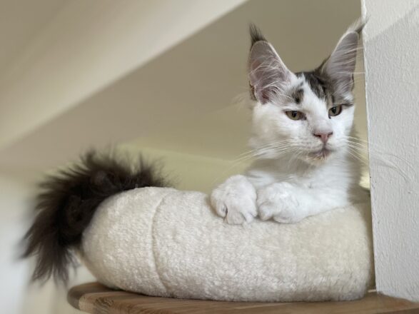 Den Umständen entsprechend ...