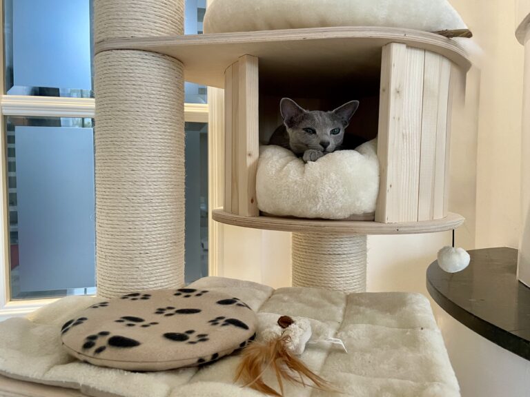 Lieben heißt loslassen