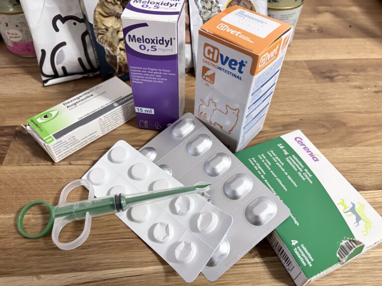 Die Katzenschule – Medikamente